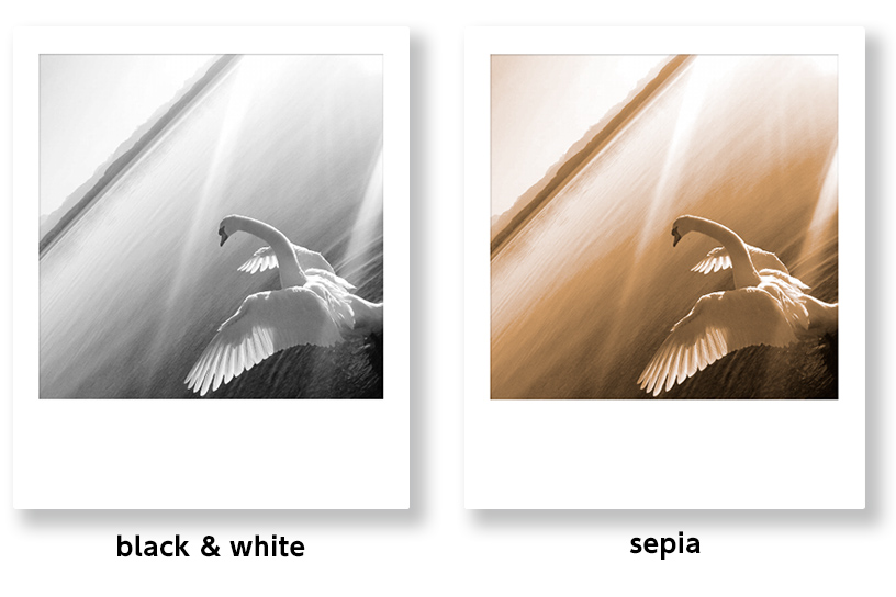Collage of pictures showing different Color Filters